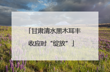 甘肃清水黑木耳丰收应时“绽放”