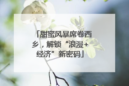甜蜜风暴席卷西乡，解锁“浪漫+经济”新密码