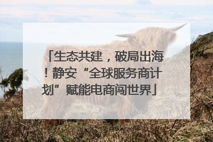 生态共建，破局出海！静安“全球服务商计划”赋能电商闯世界