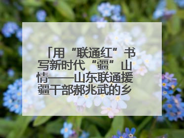 用“联通红”书写新时代“疆”山情——山东联通援疆干部郝兆武的乡村振兴答卷