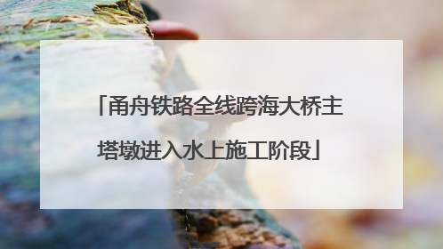 甬舟铁路全线跨海大桥主塔墩进入水上施工阶段