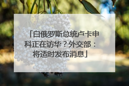 白俄罗斯总统卢卡申科正在访华？外交部：将适时发布消息
