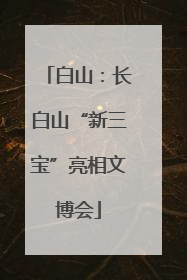 白山：长白山“新三宝”亮相文博会