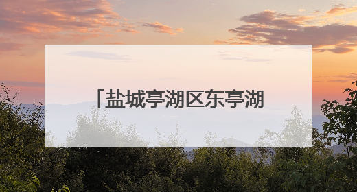 盐城亭湖区东亭湖街道人大工委组织防汛专项视察工作