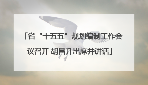 省“十五五”规划编制工作会议召开 胡昌升出席并讲话