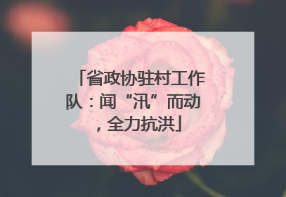 省政协驻村工作队：闻“汛”而动，全力抗洪
