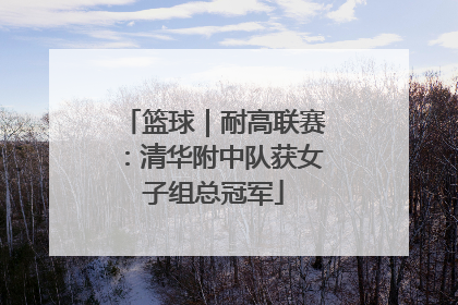 篮球｜耐高联赛：清华附中队获女子组总冠军