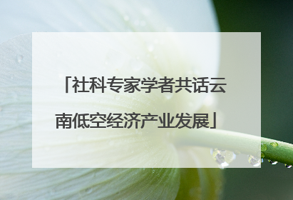 社科专家学者共话云南低空经济产业发展