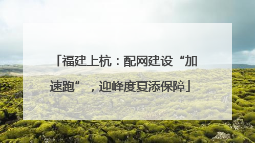 福建上杭：配网建设“加速跑”，迎峰度夏添保障