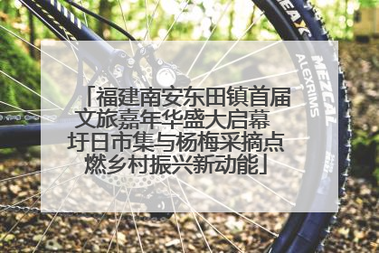 福建南安东田镇首届文旅嘉年华盛大启幕 圩日市集与杨梅采摘点燃乡村振兴新动能