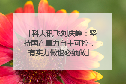 科大讯飞刘庆峰：坚持国产算力自主可控，有实力做也必须做