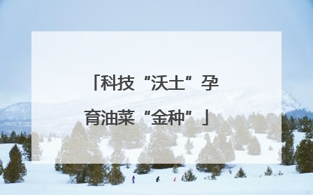 科技“沃土”孕育油菜“金种”