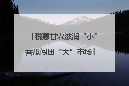 税惠甘霖滋润“小”香瓜闯出“大”市场