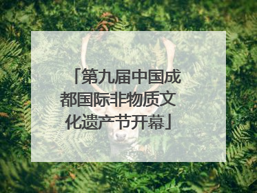 第九届中国成都国际非物质文化遗产节开幕