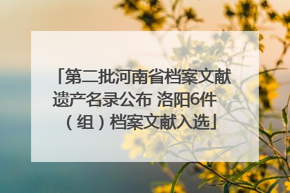 第二批河南省档案文献遗产名录公布 洛阳6件（组）档案文献入选