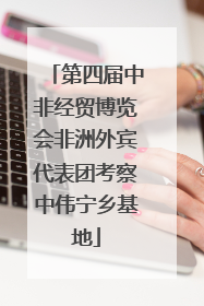 第四届中非经贸博览会非洲外宾代表团考察中伟宁乡基地