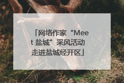 网络作家“Meet 盐城”采风活动走进盐城经开区