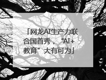 网龙AI生产力联合国首秀，“AI+教育”大有可为