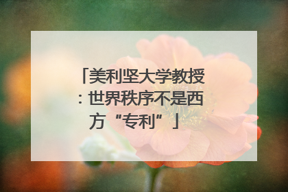 美利坚大学教授：世界秩序不是西方“专利”