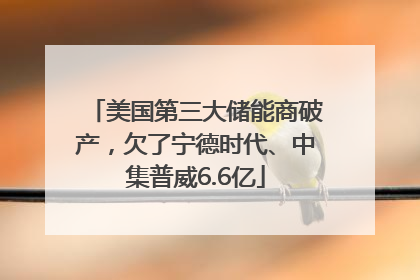 美国第三大储能商破产，欠了宁德时代、中集普威6.6亿