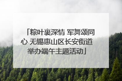 粽叶裹深情 军舞颂同心 无锡惠山区长安街道举办端午主题活动