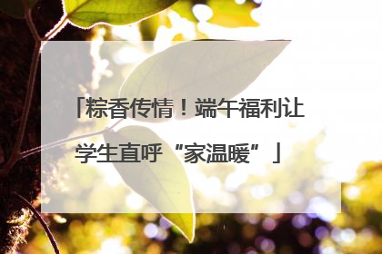粽香传情！端午福利让学生直呼“家温暖”