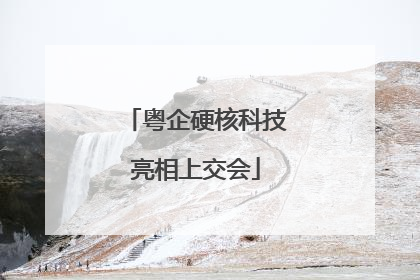 粤企硬核科技亮相上交会