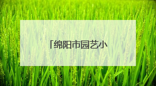 绵阳市园艺小学开展语文三年级下册第七单元整组教学活动