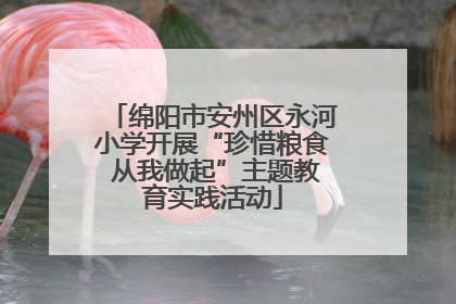 绵阳市安州区永河小学开展“珍惜粮食 从我做起”主题教育实践活动