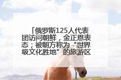 俄罗斯125人代表团访问朝鲜，金正恩表态；被朝方称为“世界级文化胜地”的旅游区，将首次接待俄游客