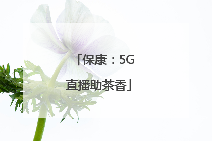 保康：5G直播助茶香
