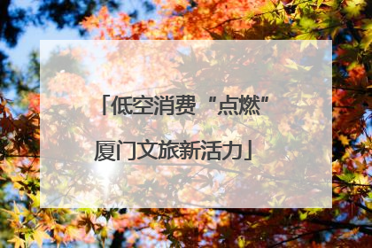 低空消费“点燃”厦门文旅新活力
