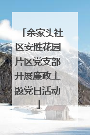 余家头社区安胜花园片区党支部开展廉政主题党日活动