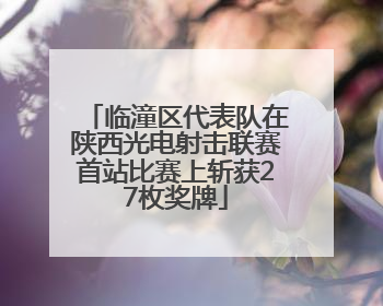 临潼区代表队在陕西光电射击联赛首站比赛上斩获27枚奖牌