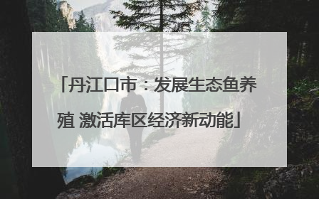 丹江口市：发展生态鱼养殖 激活库区经济新动能