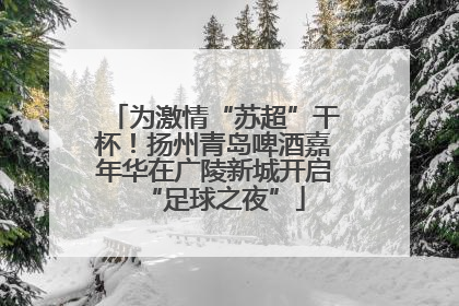 为激情“苏超”干杯！扬州青岛啤酒嘉年华在广陵新城开启“足球之夜”