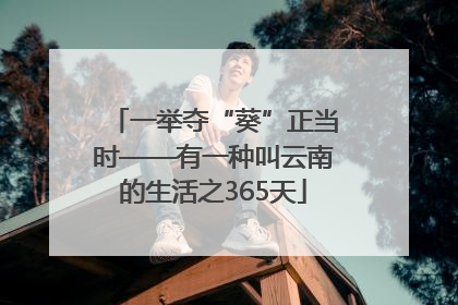 一举夺“葵”正当时——有一种叫云南的生活之365天