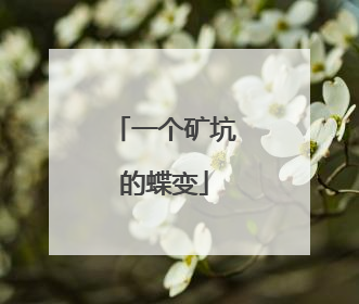 一个矿坑的蝶变