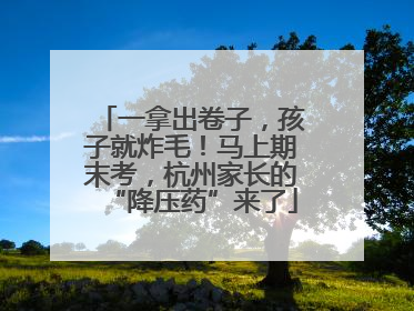 一拿出卷子，孩子就炸毛！马上期末考，杭州家长的“降压药”来了