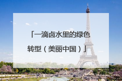 一滴卤水里的绿色转型（美丽中国）