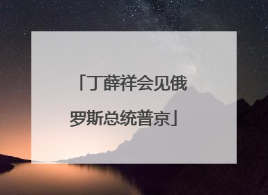 丁薛祥会见俄罗斯总统普京