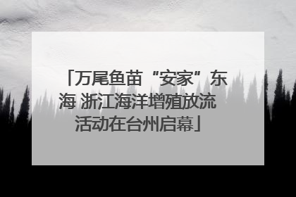 万尾鱼苗“安家”东海 浙江海洋增殖放流活动在台州启幕
