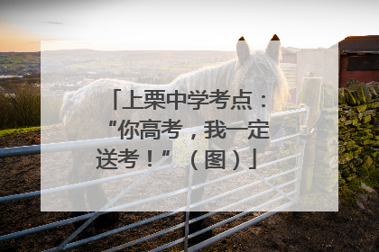 上栗中学考点：“你高考，我一定送考！”（图）