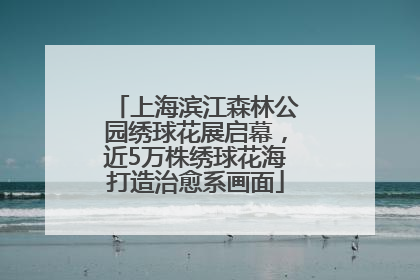 上海滨江森林公园绣球花展启幕，近5万株绣球花海打造治愈系画面