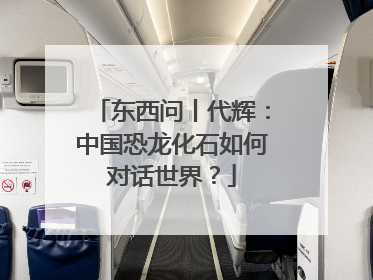 东西问丨代辉：中国恐龙化石如何对话世界？