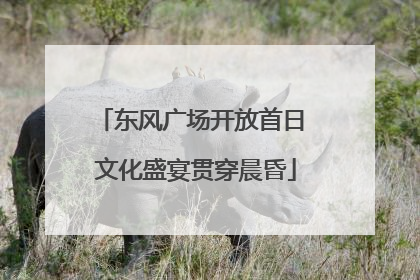 东风广场开放首日 文化盛宴贯穿晨昏