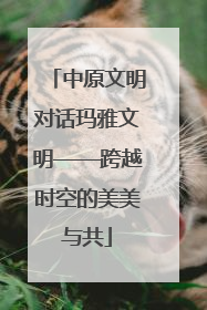 中原文明对话玛雅文明——跨越时空的美美与共
