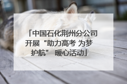 中国石化荆州分公司开展“助力高考 为梦护航” 暖心活动