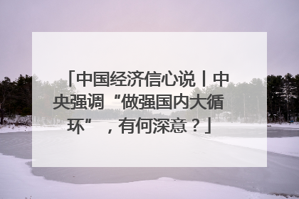 中国经济信心说丨中央强调“做强国内大循环”，有何深意？
