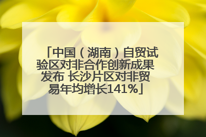中国（湖南）自贸试验区对非合作创新成果发布 长沙片区对非贸易年均增长141%
